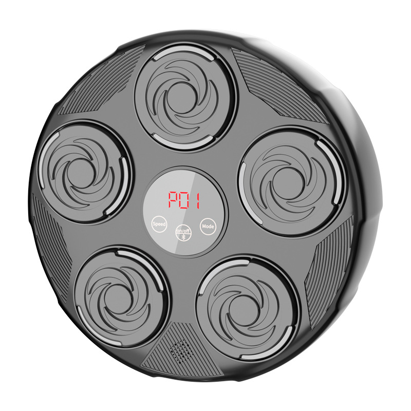 2026 Fitness Home Boxing Targe - Smart Home Lighting avis et prix