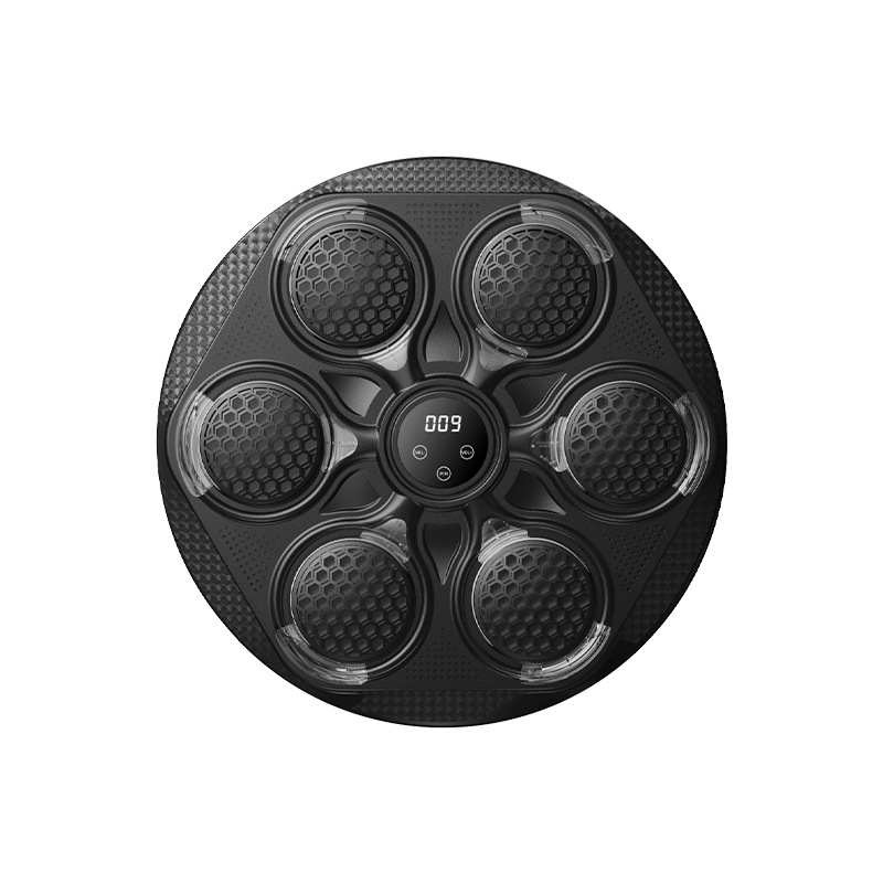 2026 Fitness Home Boxing Targe - Smart Home Lighting avis et prix