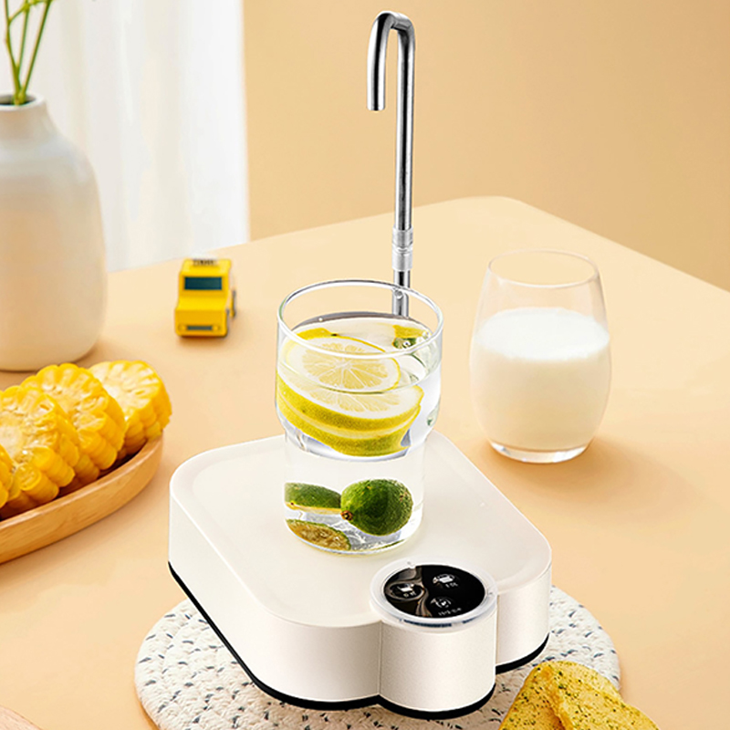 Pompe à eau électrique intelli - Smart Home Yam Pounder avis et prix