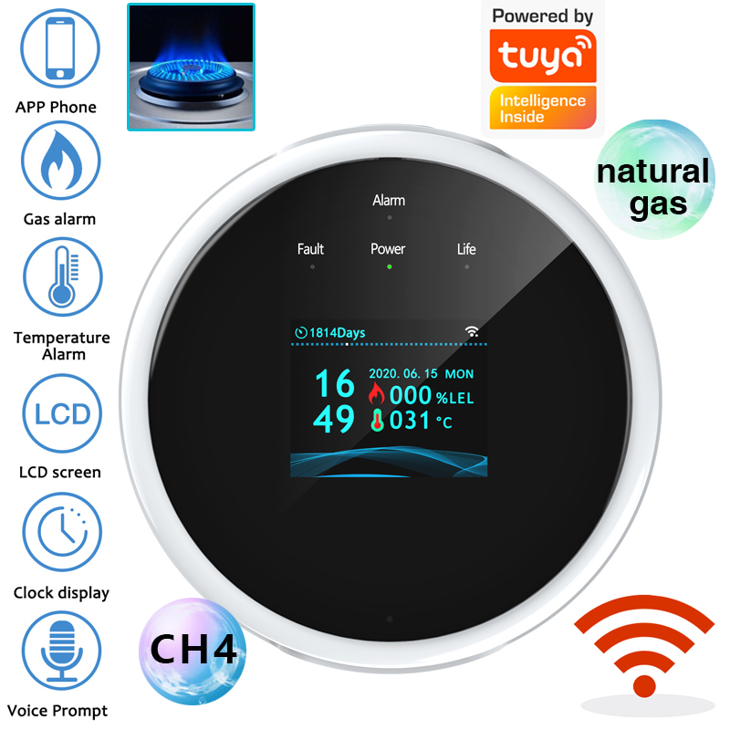 Capteur d'alarme de gaz WiFi 2 - Smart Home Ecosystems avis et prix